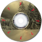 multidirectional DVD Label