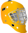 Email Masker