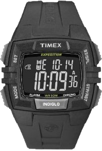 Timex Expedition T49900GP