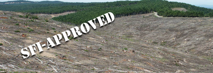SFI Sustainable Forestry Initiative really means Selling False Information