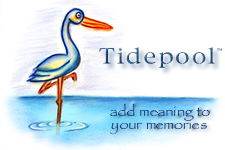 Tidepool logo