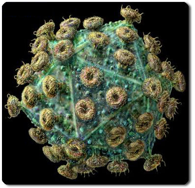 HIV virus copyright Russell Kightley