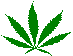 Legalising Marijuana