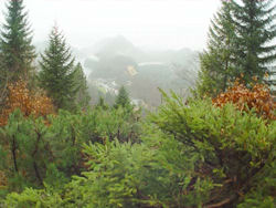 Environmental Glossary