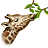 giraffe browsing