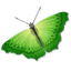 butterfly icon