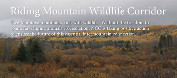 Visit the Nature Conservancy of Canada