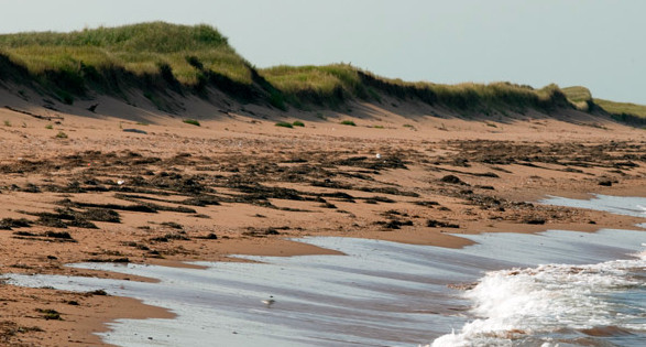 Visit the Nature Conservancy of Canada