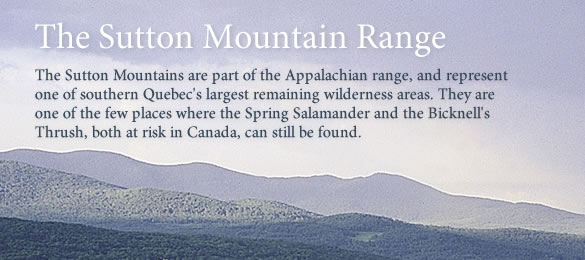 Visit the Nature Conservancy of Canada