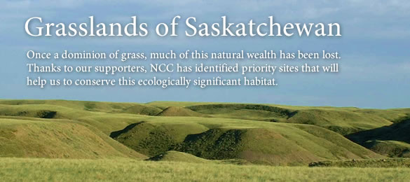Visit the Nature Conservancy of Canada