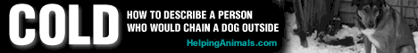 Visit helpinganimals