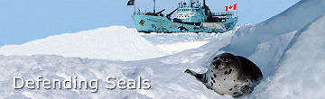 Defending Seals