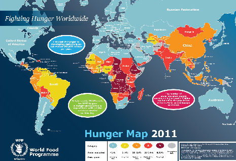 World Hunger Map